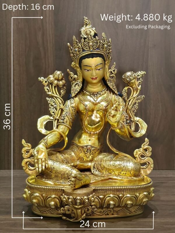 Green Tara statue measurement image showing 36 cm height, 24 cm width, 16 cm depth and 4.880 kg weight excluding packaging.